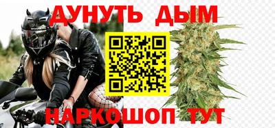 сатива Гатчина