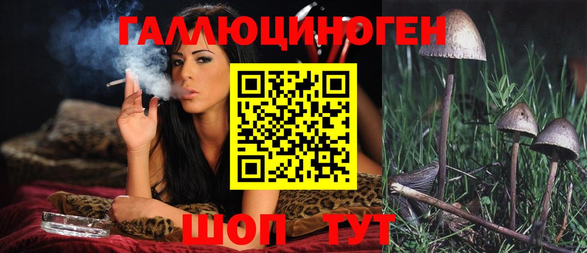 Галлюциногенные грибы GOLDEN TEACHER  Вход с VPN  Можайск 
